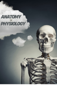 top section of a skeleton with a cloud to the left with a label for Anatomy & Physiology