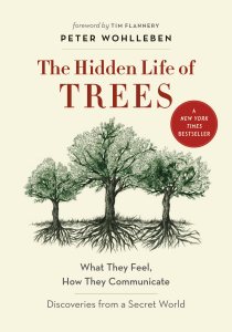 Book Cover: the Hidden Life of Trees