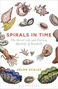 Book Cover: Spirals in Time