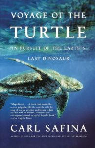 Book Cover: Voyage of the Turtle
