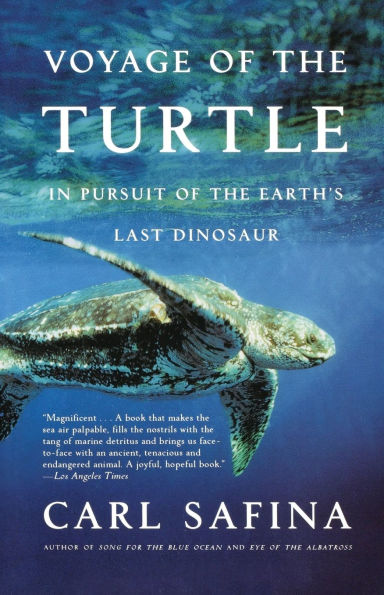 Book Cover: Voyage of the Turtle